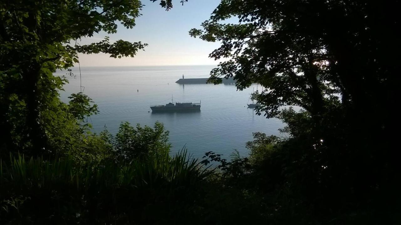 Starboard Side Brixham - Ideal Seaside Getaway With Parking المظهر الخارجي الصورة